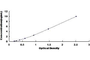 Sphingosine-1-Phosphate Phosphatase 1 (SGPP1) ELISA Kit