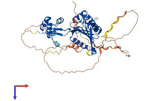 Family with Sequence Similarity 83, Member A (FAM83A) (AA 1-434) protein (His tag)