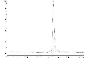 The purity of Mouse PSCA is greater than 95 % as determined by SEC-HPLC. (PSCA Protein (AA 21-95) (His tag))