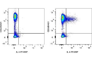 Detection of IL-4 by flow cytometry in viable human lymphocytes. (IL-4 antibody  (PromoFluor-488 Premium))