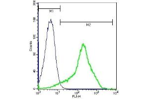 Mouse splenocytes probed with Rabbit Anti-FPRL1 Polyclonal Antibody . (FPR2 antibody  (AA 51-150))