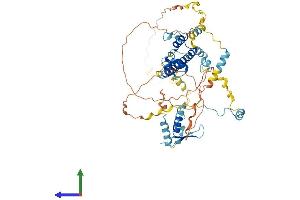 AlphaFold protein structure predicition of Human Recombinant REC8 Protein, UniprotID O95072 (REC8 Protein (AA 1-547) (His tag))