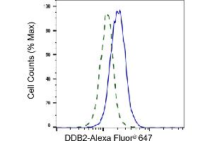 Validation of DDB2 knockdown using flow cytometry. (Recombinant DDB2 antibody)