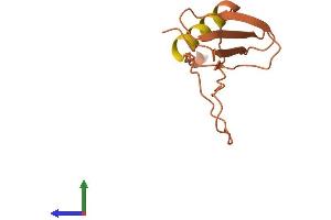 AlphaFold protein structure predicition of Mouse Recombinant Fcor Protein, UniprotID P0DJI6 (Fcor Protein (AA 1-106) (His tag))