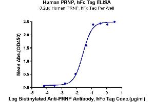 ELISA image for Prion Protein (PRNP) (AA 23-230) protein (Fc Tag) (ABIN7275480)