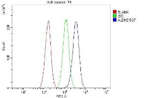 Flow Cytometry analysis of A549 cells using anti-ALDH2 antibody (ABIN7603107). (ALDH2 antibody  (N-Term))