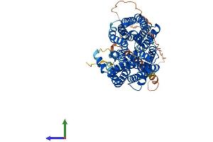 AlphaFold protein structure predicition of Human Recombinant SPNS2 Protein, UniprotID Q8IVW8