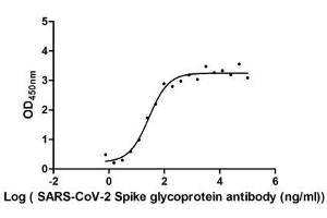 Activity:  Measured by its binding ability in a functional ELISA. (SARS-CoV-2 Spike S1 Protein (RBD) (His-SUMOstar Tag))