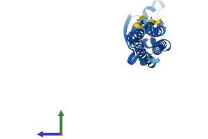 AlphaFold protein structure predicition of Human Recombinant CLRN2 Protein, UniprotID A0PK11 (Clarin 2 Protein (CLRN2) (AA 1-232) (His tag))
