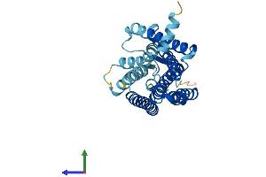AlphaFold protein structure predicition of Human Recombinant OR52E4 Protein, UniprotID Q8NGH9 (OR52E4 Protein (AA 1-312) (His tag))