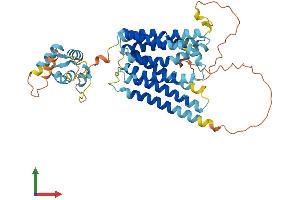 AlphaFold protein structure predicition of Mouse Recombinant Slc39a8 Protein, UniprotID Q91W10 (SLC39A8 Protein (AA 1-462) (His tag))