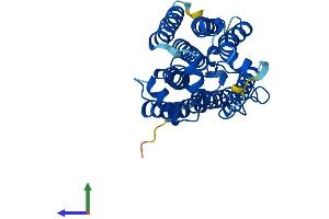 Protein Structure (PS) image for Progestin and AdipoQ Receptor Family Member V (PAQR5) (AA 1-330) protein (His tag) (ABIN7561356)