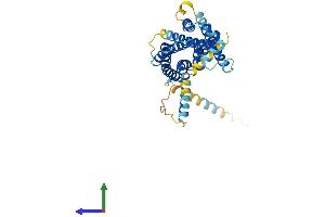 AlphaFold protein structure predicition of Mouse Recombinant Mrgprb1 Protein, UniprotID Q3UG61 (Mrgprb1 Protein (AA 1-350) (His tag))