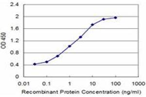 Detection limit for recombinant GST tagged NPY is approximately 0. (NPY antibody  (AA 29-97))