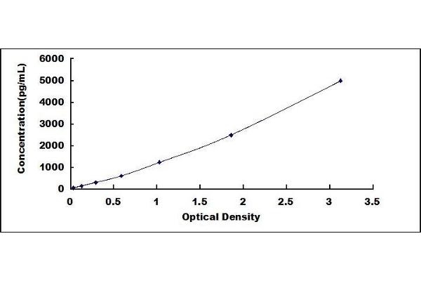 Obestatin ELISA Kit