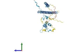 Protein Structure (PS) image for Leukocyte Receptor Cluster (LRC) Member 1 (Leng1) (AA 1-264) protein (His tag) (ABIN7548921)