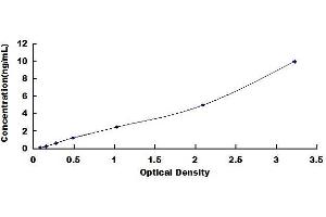 Typical standard curve (CEBPA ELISA Kit)