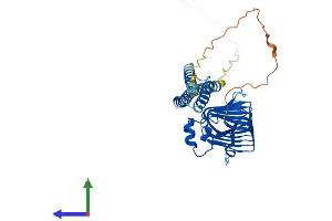 AlphaFold protein structure predicition of Mouse Recombinant Tbcc Protein, UniprotID Q8VCN9 (TBCC Protein (AA 1-341) (His tag))