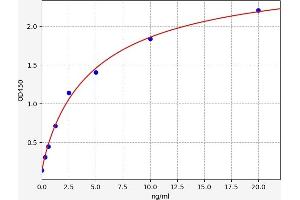 TGM3 ELISA Kit
