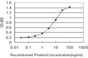 Detection limit for recombinant GST tagged COL23A1 is approximately 0. (COL23A1 antibody  (AA 338-410))