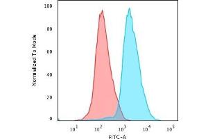 Flow Cytometric Analysis of PFA-fixed Jurkat cells using CD45RA Mouse Monoclonal Antibody (PTPRC/818) followed by Goat anti- Mouse- IgG-CF488 (Blue); Isotype Control (Red). (CD45 antibody)