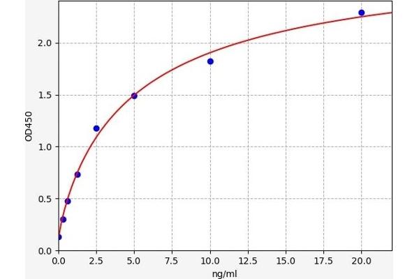 ANTXR2 ELISA Kit
