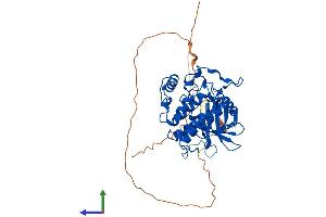AlphaFold protein structure predicition of Human Recombinant CSNK1G1 Protein, UniprotID Q9HCP0