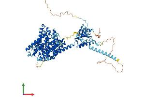 AlphaFold protein structure predicition of Human Recombinant SLC26A6 Protein, UniprotID Q9BXS9