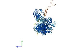 AlphaFold protein structure predicition of Human Recombinant ATP12A Protein, UniprotID P54707