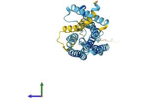 AlphaFold protein structure predicition of Human Recombinant OR52E6 Protein, UniprotID Q96RD3 (OR52E6 Protein (AA 1-313) (His tag))
