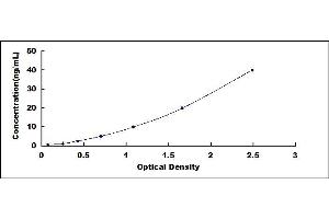 Typical standard curve (DNAJB1 ELISA Kit)