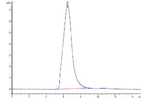 The purity of Mouse MUC18 is greater than 95 % as determined by SEC-HPLC. (MCAM Protein (AA 24-563) (His tag))