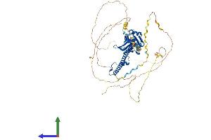 AlphaFold protein structure predicition of Human Recombinant SFPQ Protein, UniprotID P23246 (SFPQ Protein (AA 1-707) (His tag))