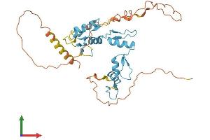 AlphaFold protein structure predicition of Human Recombinant ZIC4 Protein, UniprotID Q8N9L1 (ZIC4 Protein (AA 1-334) (His tag))