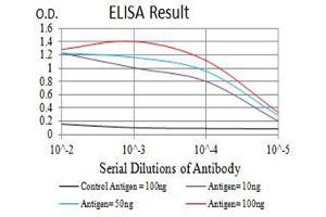 Black line: Control Antigen (100 ng),Purple line: Antigen (10 ng), Blue line: Antigen (50 ng), Red line:Antigen (100 ng) (PRKAB2 antibody  (AA 1-120))