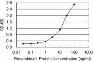 PNMA2 (Human) Matched Antibody Pair