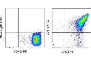 Image no. 1 for anti-Integrin Alpha2b (CD41) antibody (FITC) (ABIN474063) (Integrin Alpha2b antibody  (FITC))