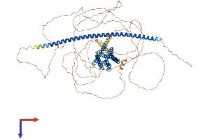 AlphaFold protein structure predicition of Human Recombinant ARHGEF33 Protein, UniprotID A8MVX0 (ARHGEF33 Protein (AA 1-844) (His tag))