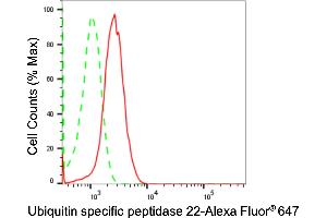 anti-Ubiquitin Specific Peptidase 22 (USP22) antibody