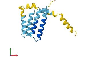 AlphaFold protein structure predicition of Human Recombinant GOLT1A Protein, UniprotID Q6ZVE7 (GOLT1A Protein (AA 1-132) (His tag))