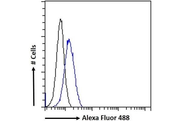 ATAD5 antibody  (Internal Region)