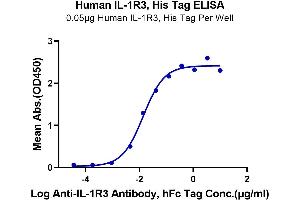 ELISA image for Interleukin 1 Receptor Accessory Protein (IL1RAP) (AA 21-359) protein (His-Avi Tag) (ABIN7274904)