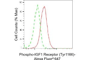 Flow cytometric analysis of Phospho-IGF1 Receptor (Tyr) expression in HAP-1 cells using Phospho-IGF1 Receptor (Tyr) antibody (ABIN7799048), 1:2,000).
