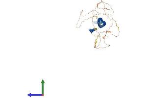 Protein Structure (PS) image for Leucine Zipper, Putative Tumor Suppressor 2 (LZTS2) (AA 1-671) protein (His tag) (ABIN7564826)