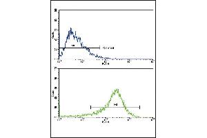 Flow cytometric analysis of HepG2 cells using PIGR Antibody (C-term)(bottom histogram) compared to a negative control (top histogram). (PIGR antibody  (C-Term))