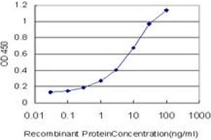 Detection limit for recombinant GST tagged LIG1 is approximately 0. (LIG1 antibody  (AA 810-919))