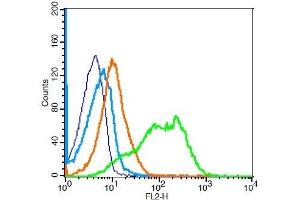 Mouse splenocytes probed with CD1d1 Polyclonal Antibody, Unconjugated  at 1:100 for 30 minutes followed by incubation with a PE Conjugated secondary (green) for 30 minutes compared to control cells (blue), secondary only (light blue) and isotype control (orange). (CD1d1 antibody  (AA 165-270))