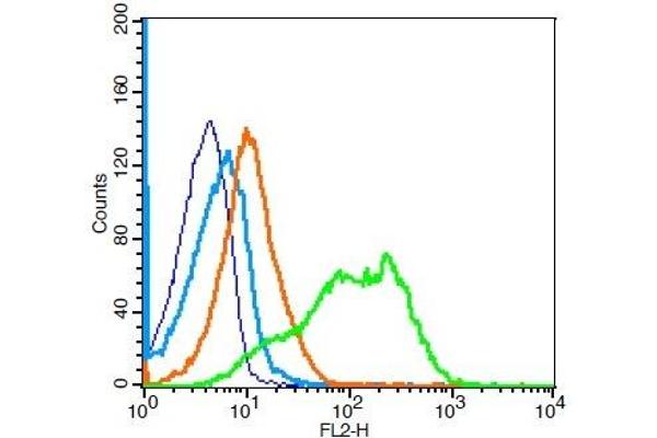 CD1d1 antibody  (AA 165-270)