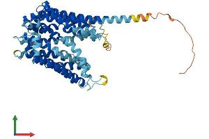 AlphaFold protein structure predicition of Mouse Recombinant Ankh Protein, UniprotID Q9JHZ2 (ANKH Protein (AA 1-492) (His tag))