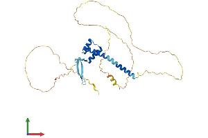 AlphaFold protein structure predicition of Human Recombinant VAX1 Protein, UniprotID Q5SQQ9 (VAX1 Protein (AA 1-334) (His tag))